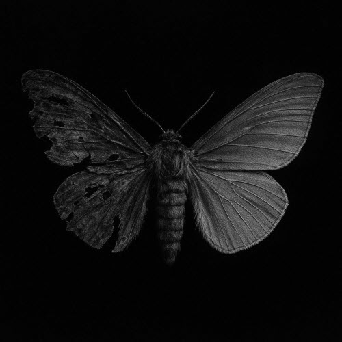 NCRMNCR - Horrores (2025) [Single]