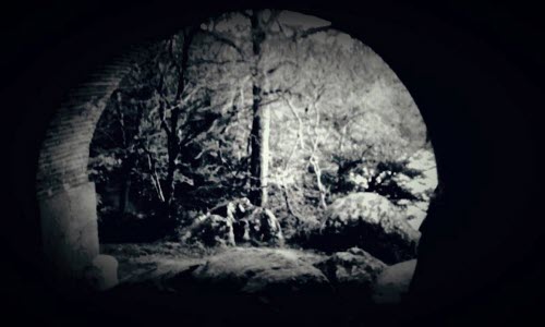 Bela Goosy - Life Is A Fairy Tale (2020)