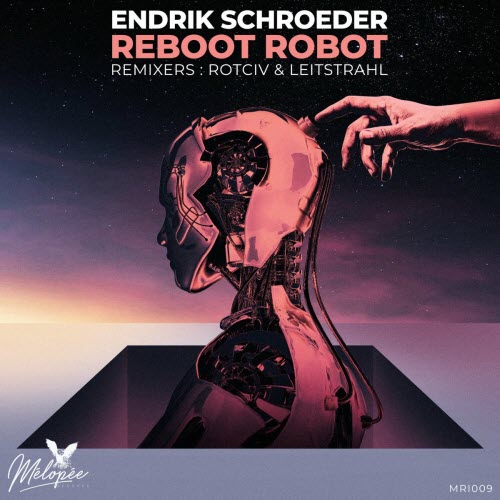 Endrik Schroeder - Reboot Robot (2022) [EP]