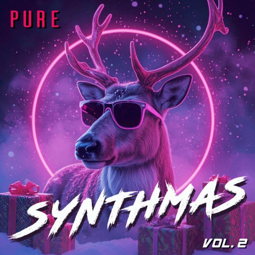 VA - Pure Synthmas Vol. 2 (2025)