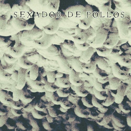 Pretoricos - Sexador De Pollos (2025) [Single]