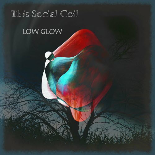 This Social Coil - Low Glow (2024)