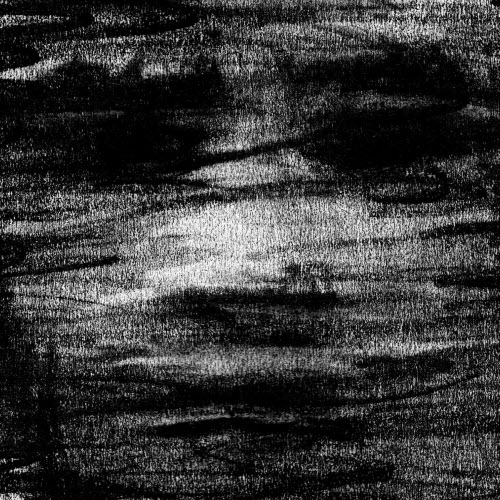 Born Erased - Birds Drink My Blood (2025)