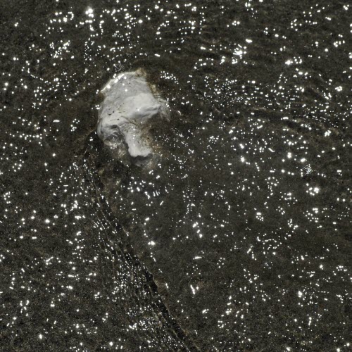 Born Erased - I Am The End Of The World (2023)