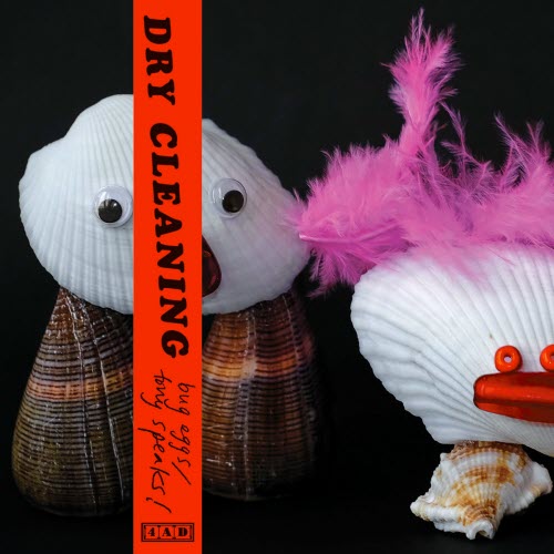 Dry Cleaning - Bug Eggs/Tony Speaks! (2021) [Single]