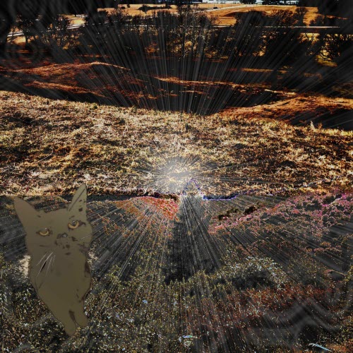 Deaddigital Inc. - Electric Wire (2026) [EP]