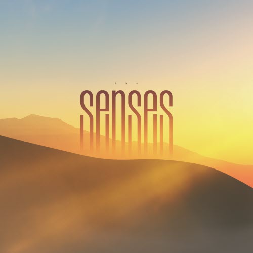 Violet7rip - The Senses (2019)