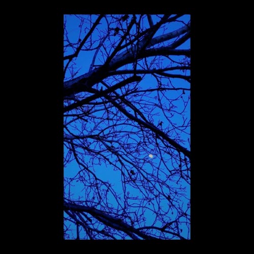 Oculi Melancholiarum - Noche Azul (2022) [EP]