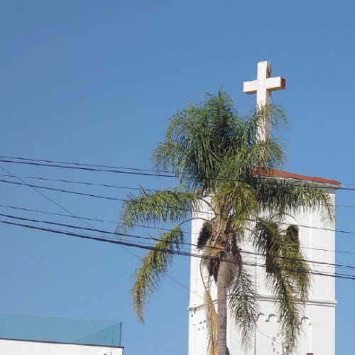 Death Palmz - Filthy Water (2026) [Single]