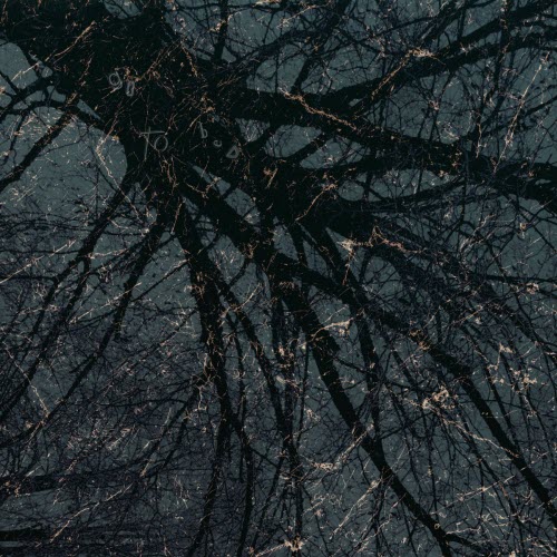 Backwards Charm - Go To Bed (2026) [Single]