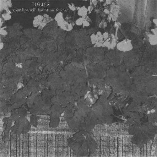 TigJez - Your Lips Will Haunt Me Forever (2026) [Single]