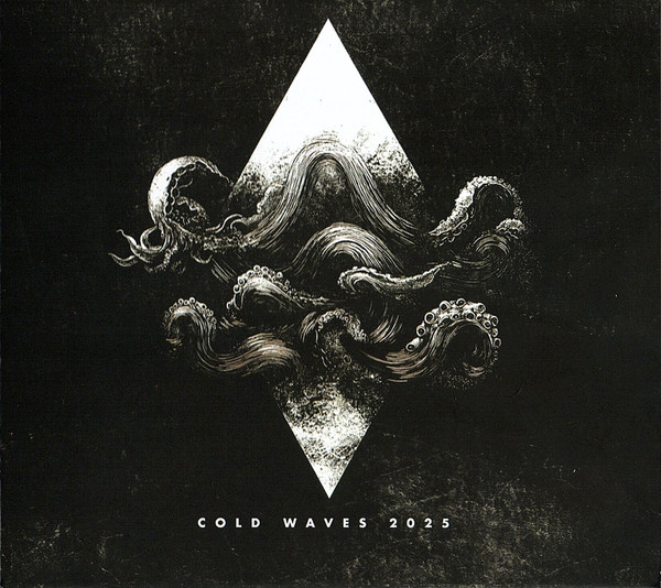 VA - Cold Waves 2025 (2025)