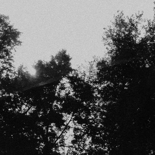 Schwairex - Dissociation (2026)