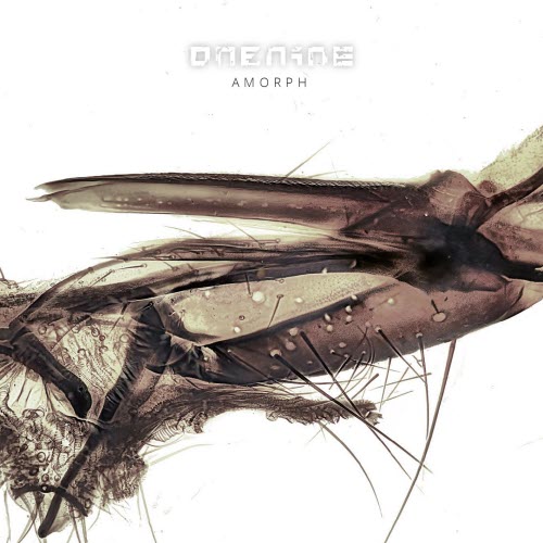 Onenine - Amorph (2026)