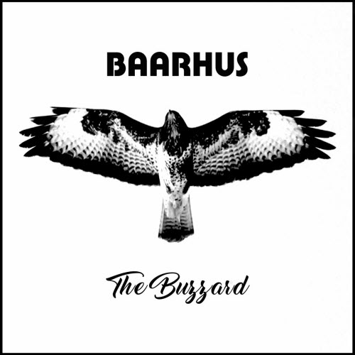 Baarhus - The Buzzard (2024) [Single]