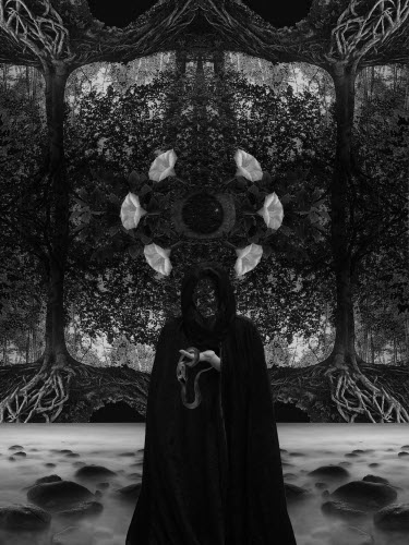 Wilted Perch - La Oscuridad Que No Puedo Soportar (2021)