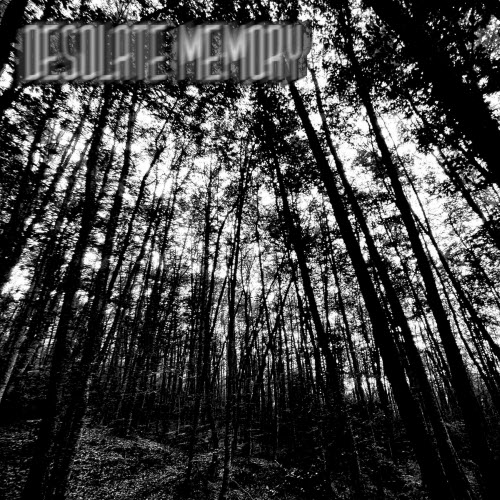 Desolate Memory - Shattered Memories (2026) [Single]