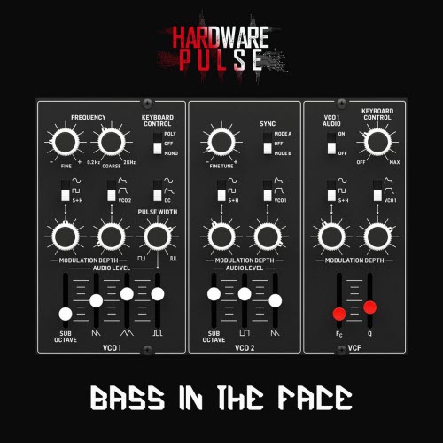 Hardware Pulse - Bass In The Face (2025) [Single]