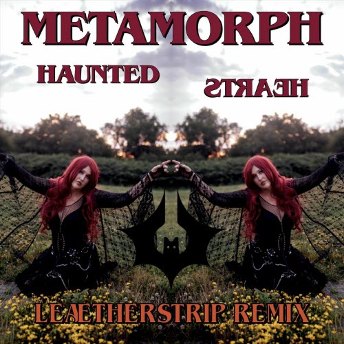 Metamorph - Haunted Hearts (Leaether Strip Remix) (2026) [Single]