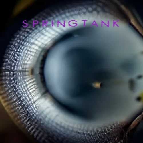 Springtank - Springtank (2023) [EP]