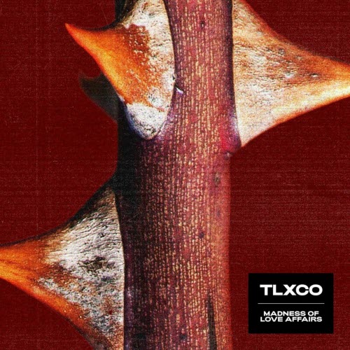 TLXCO - Madness Of Love Affairs (2024) [EP]