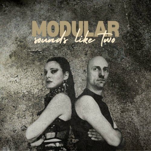 Modular - Sounds Like Two (2024) [EP]