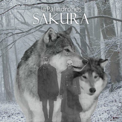 Palindrones - Sakura (2023) [Single]