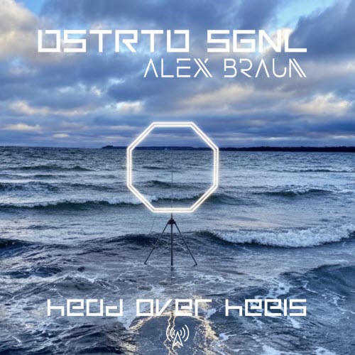 DSTRTD SGNL & Alex Braun - Head Over Heels (2026) [Single]
