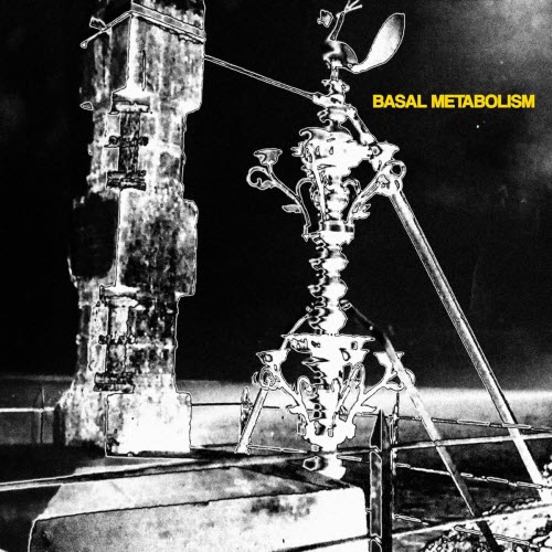 Basal Metabolism - Basal Metabolism (2024)