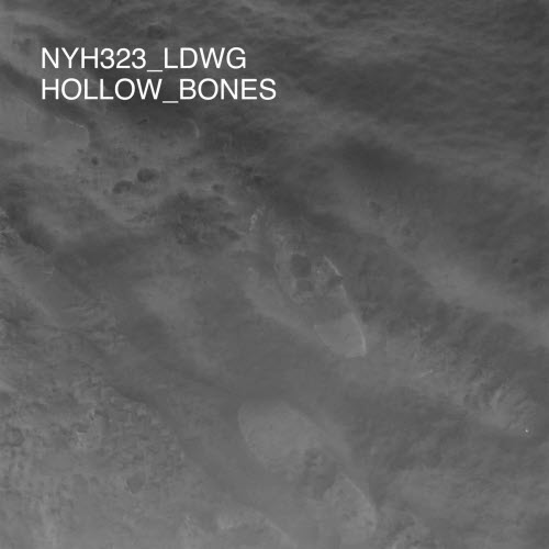 LDWG - Hollow Bones (2026) [EP]
