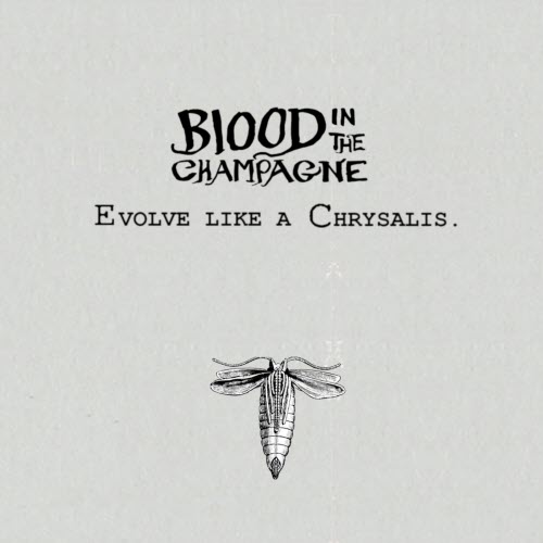 Blood In The Champagne - Evolve Like A Chrysalis (2025) [EP]