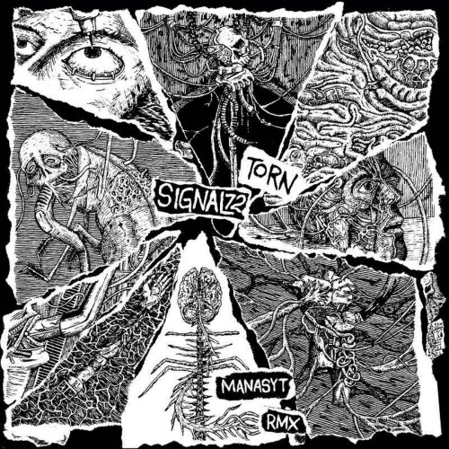 Signal 72 - Torn (2023) [Single]