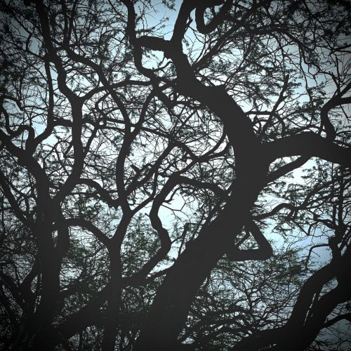 Ment_Apart - Defenestration (2026) [Single]