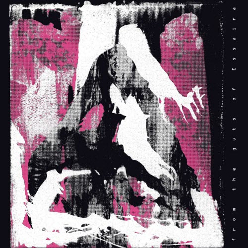 Essaira - From The Guts Of Essaira (2026)