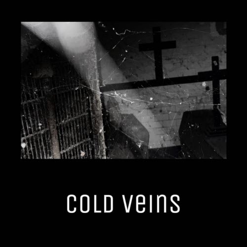 Vampira Éternelle - Cold Veins (2026) [Single]