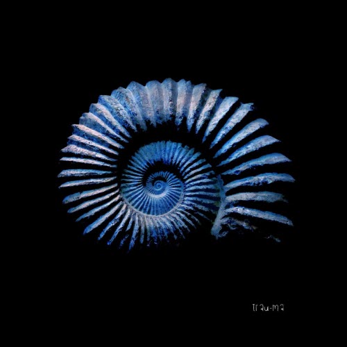 Bulah - Mass Extinctions (2026) [EP]