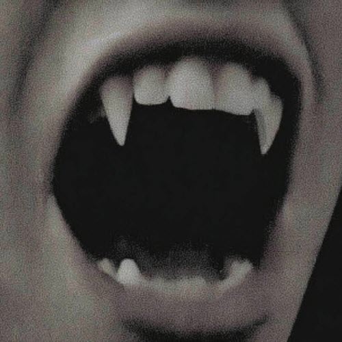 Vampire Moon - Darkness Devotion (2026) [Single]