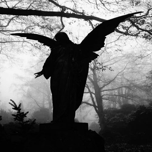 Vampire Moon - My Sentence (2026) [Single]