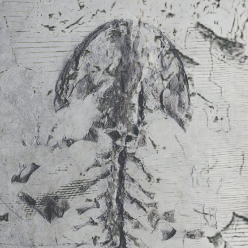 Kristoffer Oustad - Live At Sprø Musikk 2022 (2022)