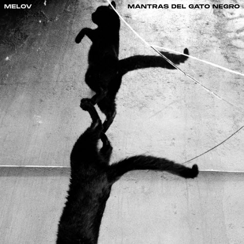 Melov - Mantras Del Gato Negro (2023)