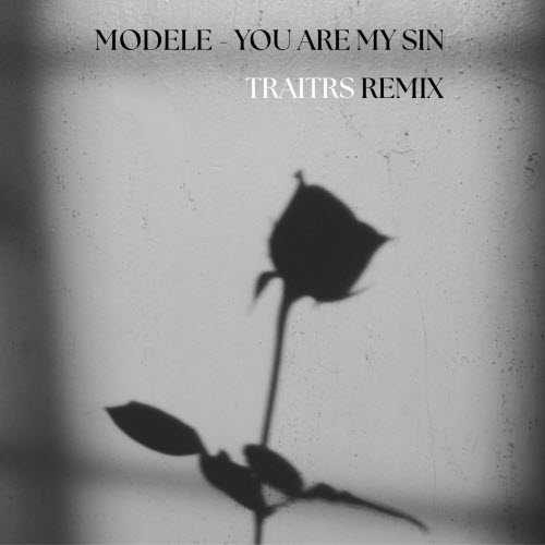 Modele - You Are My Sin (Traitrs Remix) (2026) [Single]