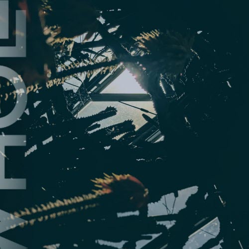 Whole - Air Vent (Way In) (2026) [Single]
