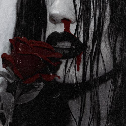 Shadows Hold - Nosebleed (2026) [Single]