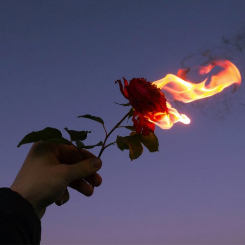 Lauren River - From The Ashes (2025) [Single]