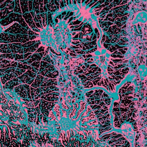 Acidic Male - Fear Of Wetness (2026) [EP]