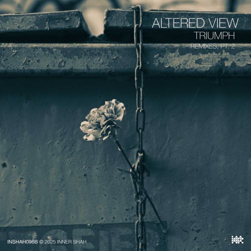 Altered View - Triumph: Remixes Pt. 2 (2026) [Single]
