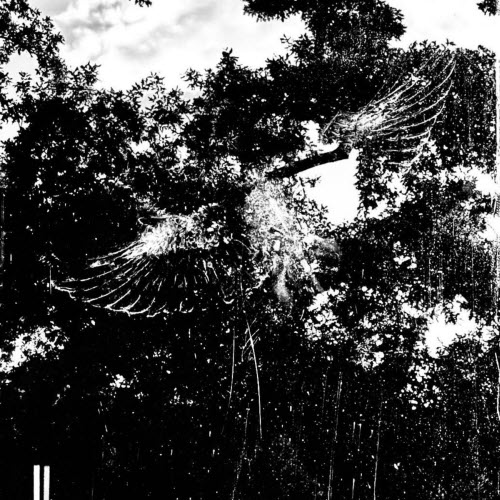 Endless Me - Kinder Des Himmels (2026) [Single]