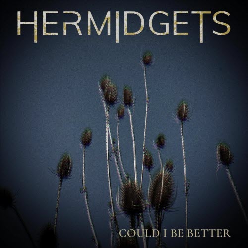 Hermidgets - Could I Be Better (2026) [Single]