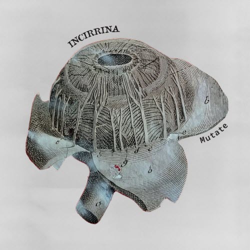 Incirrina - Mutate (2026) [Single]