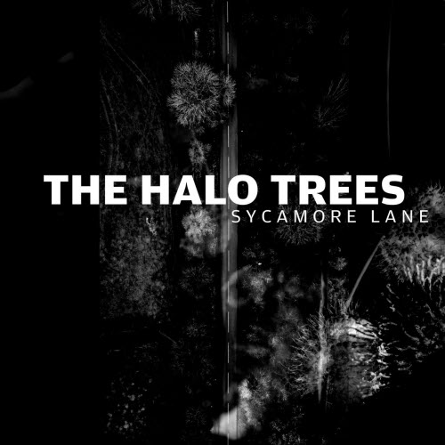The Halo Trees - Sycamore Lane (2026) [Single]